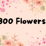 800 Flowers – Elegant Arrangements at Unbeatable Prices!