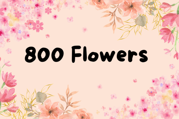 800 Flowers – Elegant Arrangements at Unbeatable Prices!