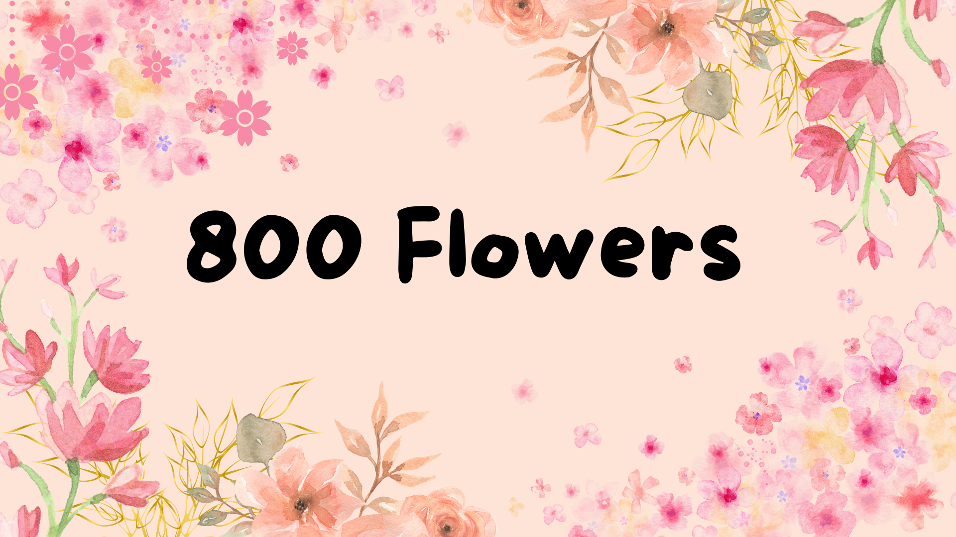 800 Flowers – Elegant Arrangements at Unbeatable Prices!